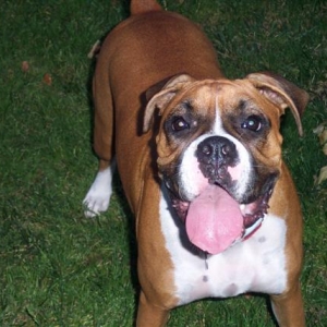 Samantha - 11 Month's Old