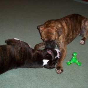 Awwww, sweet!