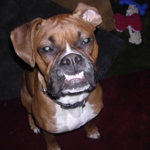 Remy Show his Serious Side