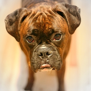 "Mr. Pout"