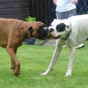 Tug of war