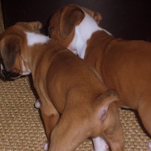 Baby Butt!