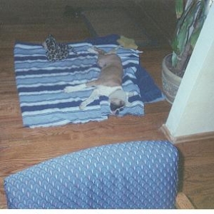 Pooped out