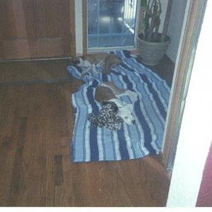 Taking a nap