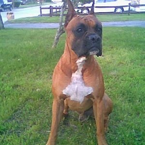 My good side