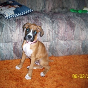 Sophie at 10 weeks