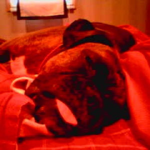 Sleepy baby