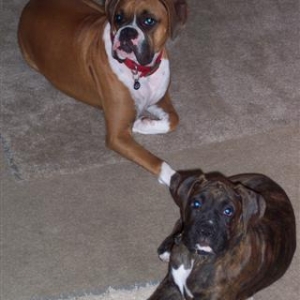 Syd & Samantha
