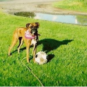 lucy playing