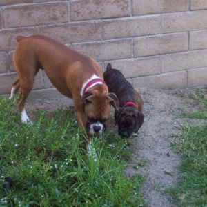 Double Trouble