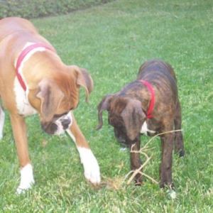 No...It's Mine