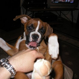 Tickle