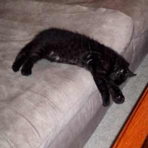 Slipping off the Couch