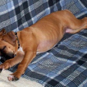 Maggie sleep