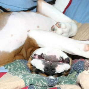 napping