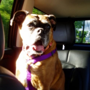 Clio taking in the rays