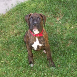 My Little Cutie!