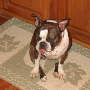Mia wants breakfast now