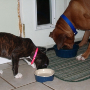 Laila&Cashy