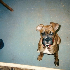 lucy 4 months old