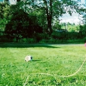 lucy and mom playing outside