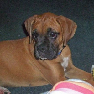 Lucy from PA at9 weeks