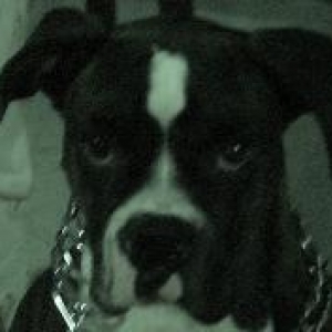 Hurricane WILMA Rescue