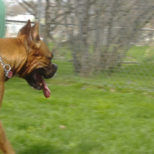 Check out that Tongue!