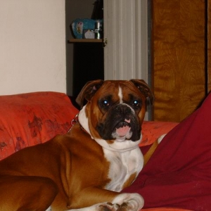 It's my couch!!