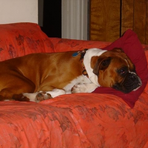 They wore me out!!