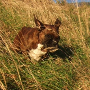 Lily flying down the hill