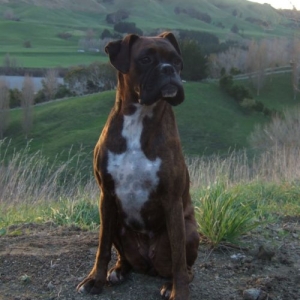 Lily looking proud