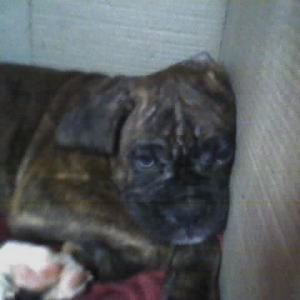Sleeping
