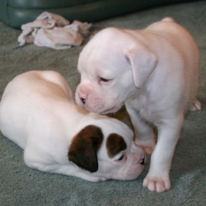 Bobby&Tilly