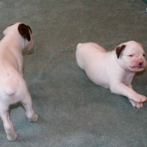 Bobby&Tilly4