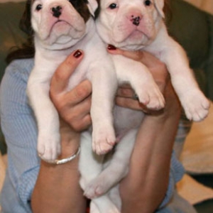 Tilly&Bobby
