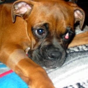 Miss Bea