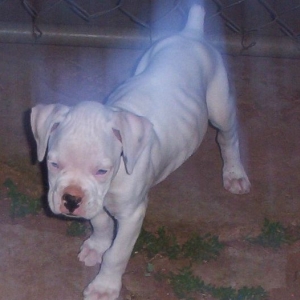 casper_up_close