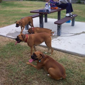 Samantha & Friends