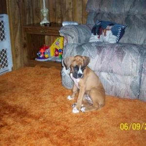 Sophia Anne at 11 weeks