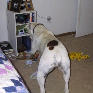 "What is that thing?!"