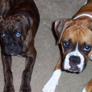 Who Us?
