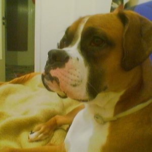 10months old