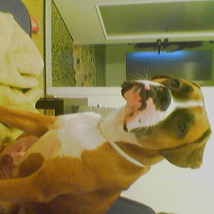 10 month old Keeroff