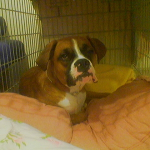 crate