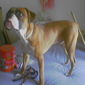 11 months old