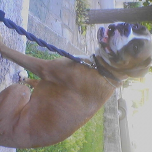 out for a walk