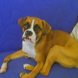 keeroff 9months old