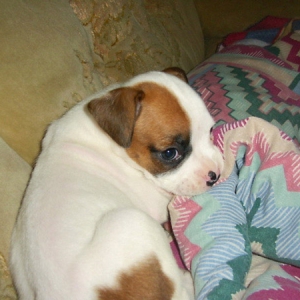 Sweet little girl!