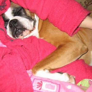 Snuggling Close